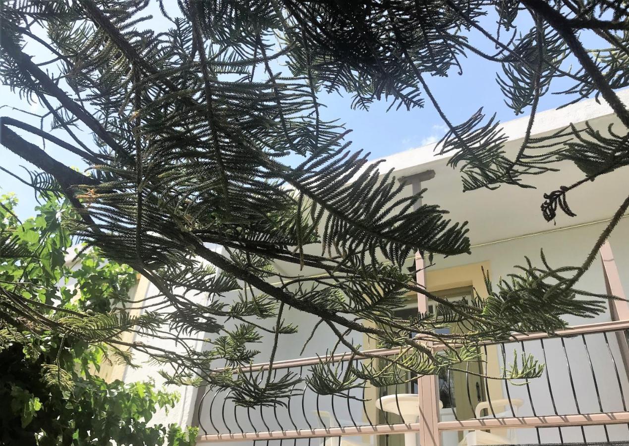 Pansion Episkopi Studios Skopelos Town Exterior foto