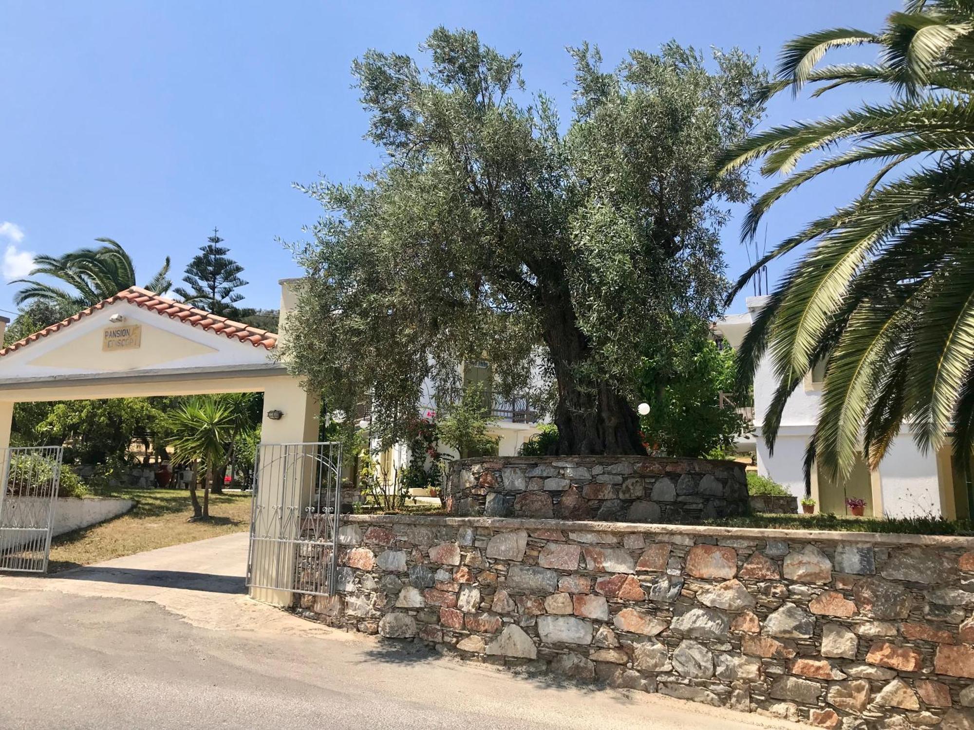Pansion Episkopi Studios Skopelos Town Exterior foto